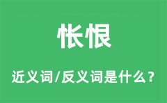 <b>怅恨的近义词和反义词是什么_怅恨是什么意思?</b>