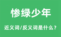 惨绿少年的近义词和反义词是什么_惨绿少年是什么意思?