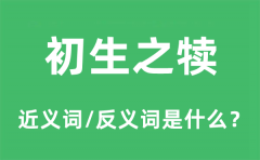 初生之犊的近义词和反义词是什么_初生之犊是什么意思?