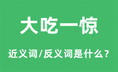 大吃一惊的近义词和反义词是什么_大吃一惊是什么意思?