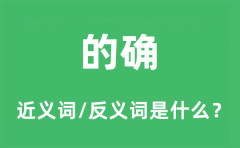 的确的近义词和反义词是什么_的确是什么意思?