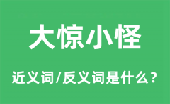 大惊小怪的近义词和反义词是什么_大惊小怪是什么意思?