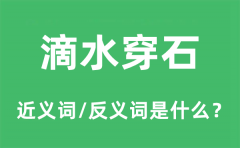 滴水穿石的近义词和反义词是什么_滴水穿石是什么意思?