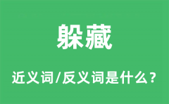 躲藏的近义词和反义词是什么_躲藏是什么意思?