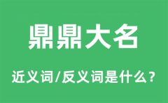 鼎鼎大名的近义词和反义词是什么_鼎鼎大名是什么意思?
