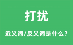 打扰的近义词和反义词是什么_打扰是什么意思?