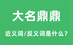 大名鼎鼎的近义词和反义词是什么_大名鼎鼎是什么意思?