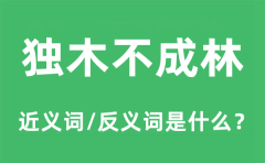 独木不成林的近义词和反义词是什么_独木不成林是什么意思?