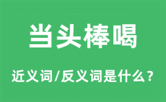 当头棒喝的近义词和反义词是什么_当头棒喝是什么意思?