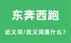 东奔西跑的近义词和反义词是什么_东奔西跑是什么意思?