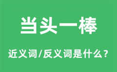 当头一棒的近义词和反义词是什么_当头一棒是什么意思?