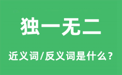 独一无二的近义词和反义词是什么_独一无二是什么意思?
