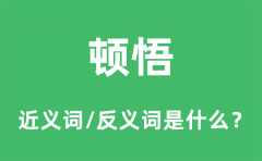 顿悟的近义词和反义词是什么_顿悟是什么意思?