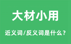 大材小用的近义词和反义词是什么_大材小用是什么意思?