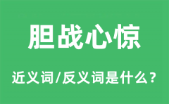 胆战心惊的近义词和反义词是什么_胆战心惊是什么意思?