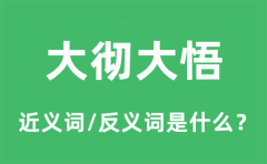 大彻大悟的近义词和反义词是什么_大彻大悟是什么意思?