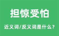 担惊受怕的近义词和反义词是什么_担惊受怕是什么意思?