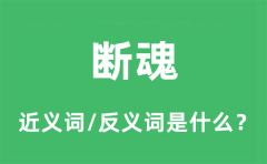 <b>断魂的近义词和反义词是什么_断魂是什么意思?</b>