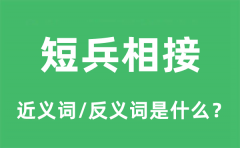 短兵相接的近义词和反义词是什么_短兵相接是什么意思?