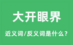 大开眼界的近义词和反义词是什么_大开眼界是什么意思?