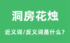 洞房花烛的近义词和反义词是什么_洞房花烛是什么意思?