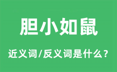 胆小如鼠的近义词和反义词是什么_胆小如鼠是什么意思?