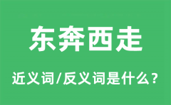 东奔西走的近义词和反义词是什么_东奔西走是什么意思?