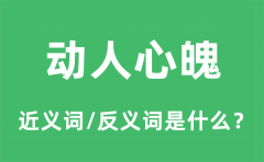 动人心魄的近义词和反义词是什么_动人心魄是什么意思?