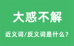 大惑不解的近义词和反义词是什么_大惑不解是什么意思?