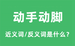 动手动脚的近义词和反义词是什么_动手动脚是什么意思?