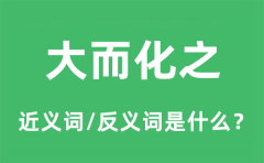 大而化之的近义词和反义词是什么_大而化之是什么意思?