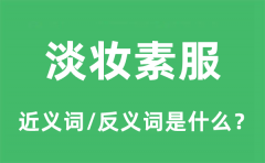 淡妆素服的近义词和反义词是什么_淡妆素服是什么意思?