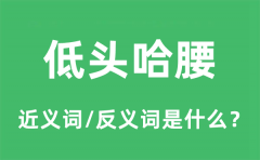 低头哈腰的近义词和反义词是什么_低头哈腰是什么意思?