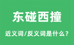 东碰西撞的近义词和反义词是什么_东碰西撞是什么意思?