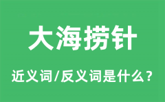大海捞针的近义词和反义词是什么_大海捞针是什么意思?