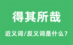 得其所哉的近义词和反义词是什么_得其所哉是什么意思?