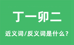 丁一卯二的近义词和反义词是什么_丁一卯二是什么意思?