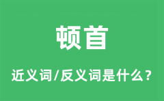 顿首的近义词和反义词是什么_顿首是什么意思?