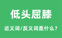 低头屈膝的近义词和反义词是什么_低头屈膝是什么意思?