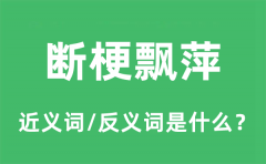 断梗飘萍的近义词和反义词是什么_断梗飘萍是什么意思?