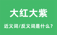 大红大紫的近义词和反义词是什么_大红大紫是什么意思?