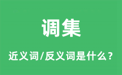 调集的近义词和反义词是什么_调集是什么意思?