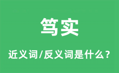 笃实的近义词和反义词是什么_笃实是什么意思?