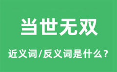 当世无双的近义词和反义词是什么_当世无双是什么意思?