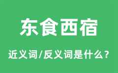 东食西宿的近义词和反义词是什么_东食西宿是什么意思?