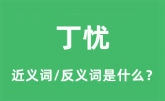 丁忧的近义词和反义词是什么_丁忧是什么意思?