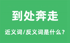 到处奔走的近义词和反义词是什么_到处奔走是什么意思?