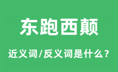 东跑西颠的近义词和反义词是什么_东跑西颠是什么意思?