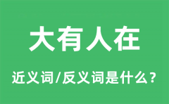 大有人在的近义词和反义词是什么_大有人在是什么意思?