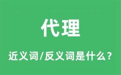 代理的近义词和反义词是什么_代理是什么意思?